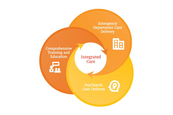 graphic showing domains of behavioral healthcare in the emergency room